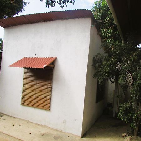 Ferienwohnung Jumanji Palomino Exterior foto